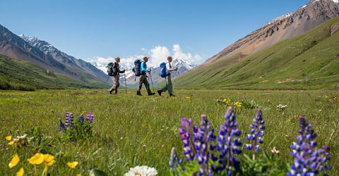 Как выбрать треккинговую обувь для похода