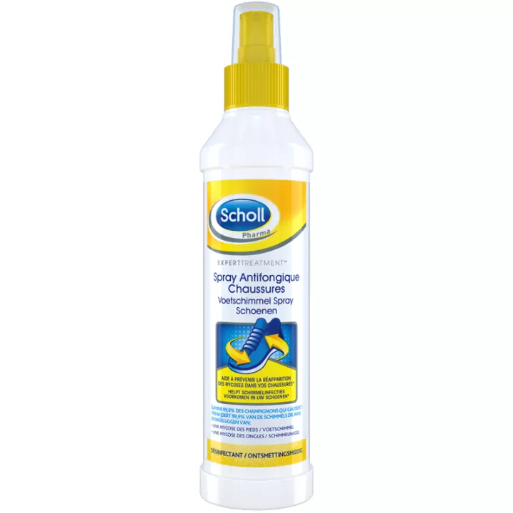 Scholl 