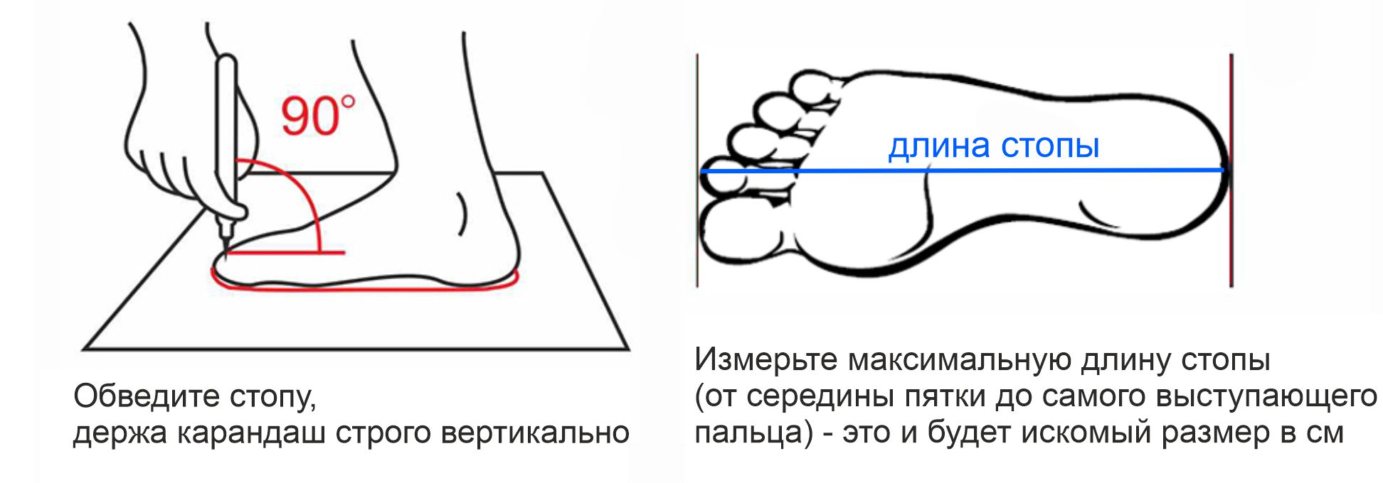 Как измерить длину стопы для обуви женской